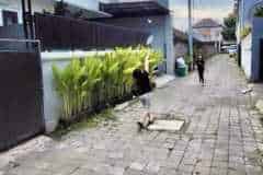 hanbrighton-jual-rumah-hadap-utara-2-lt-3-kt-a-yani-denut-2