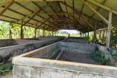 hanbrighton-jual-tanah-bekas-kandang-babi-5980m2-abiansemal-badung-3