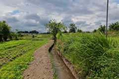 hanbrighton-jual-tanah-bekas-kandang-babi-5980m2-abiansemal-badung-9