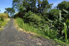 hanbrighton-buc-jual-tanah-3850m2-pinggir-jalan-nasional-jalan-raya-baturiti-tabanan-1