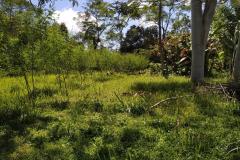 hanbrighton-buc-jual-tanah-3850m2-pinggir-jalan-nasional-jalan-raya-baturiti-tabanan-3