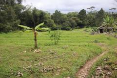 hanbrighton-jual-tanah-87-are-apuan-baturiti-tabanan-view-sawah-dekat-jatiluwih-10