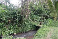 hanbrighton-jual-tanah-87-are-apuan-baturiti-tabanan-view-sawah-dekat-jatiluwih-11