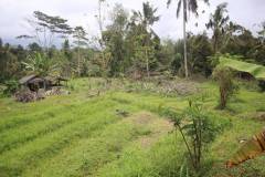 hanbrighton-jual-tanah-87-are-apuan-baturiti-tabanan-view-sawah-dekat-jatiluwih-12