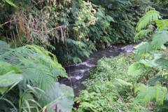 hanbrighton-jual-tanah-87-are-apuan-baturiti-tabanan-view-sawah-dekat-jatiluwih-14