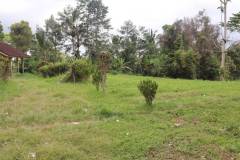 hanbrighton-jual-tanah-87-are-apuan-baturiti-tabanan-view-sawah-dekat-jatiluwih-2