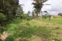 hanbrighton-jual-tanah-87-are-apuan-baturiti-tabanan-view-sawah-dekat-jatiluwih-3