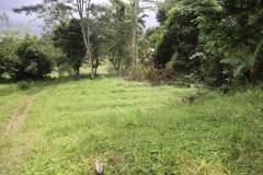hanbrighton-jual-tanah-87-are-apuan-baturiti-tabanan-view-sawah-dekat-jatiluwih-4