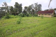 hanbrighton-jual-tanah-87-are-apuan-baturiti-tabanan-view-sawah-dekat-jatiluwih-5