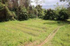 hanbrighton-jual-tanah-87-are-apuan-baturiti-tabanan-view-sawah-dekat-jatiluwih-6
