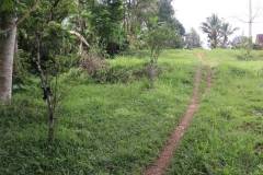 hanbrighton-jual-tanah-87-are-apuan-baturiti-tabanan-view-sawah-dekat-jatiluwih-7