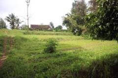 hanbrighton-jual-tanah-87-are-apuan-baturiti-tabanan-view-sawah-dekat-jatiluwih-8
