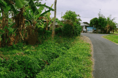 hanbrighton-jual-tanah-hadap-timur-8-are-bimasena-beraban-tabanan-1