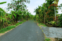 hanbrighton-jual-tanah-hadap-timur-8-are-bimasena-beraban-tabanan-3