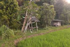hanbrighton-dijual-cepat-tanah-120-are-pinggir-jalan-provinsi-busungbiu-buleleng-4