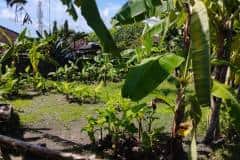 hanbrighton-kontrak-tanah-75-are-bypass-ngurah-rai-benoa-10