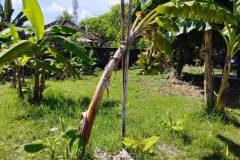 hanbrighton-kontrak-tanah-75-are-bypass-ngurah-rai-benoa-11
