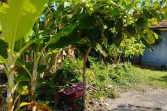 hanbrighton-kontrak-tanah-75-are-bypass-ngurah-rai-benoa-7