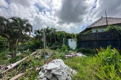 leasehold-10-th-tanah-hadap-utara-1085m2-pantai-batu-bolong-canggu-8
