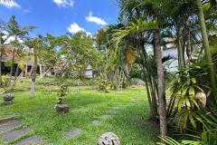 leasehold-10-th-tanah-hadap-utara-1195m2-pantai-batu-bolong-canggu-3