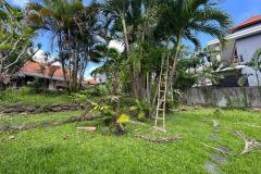 leasehold-10-th-tanah-hadap-utara-1195m2-pantai-batu-bolong-canggu-6