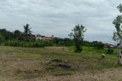 hanbrighton-jual-tanah-24-are-subak-uma-canggu-1