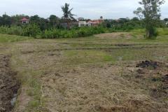 hanbrighton-jual-tanah-24-are-subak-uma-canggu-2