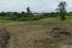 hanbrighton-jual-tanah-24-are-subak-uma-canggu-3