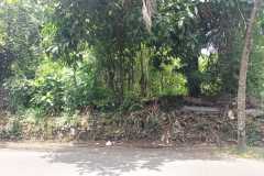 hanbrighton-jual-tanah-758m2-padang-tawang-canggu-1