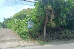 hanbrighton-jual-tanah-758m2-padang-tawang-canggu-2
