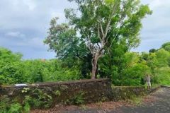 jual-tanah-murah-10-are-goa-gong-kutuh-kuta-selatan-1