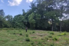 hanbrighton-jual-tanah-kavling-11-are-greenlot-residence-munggu-mengwi-badung-1