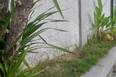 hanbrighton-jual-rumah-3-kt-taman-mulia-jimbaran-badung-9