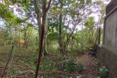 hanbrighton-sewa-min-10-th-tanah-hadap-utara-8-are-jalan-jepun-jimbaran-4