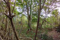 hanbrighton-sewa-min-10-th-tanah-hadap-utara-8-are-jalan-jepun-jimbaran-5