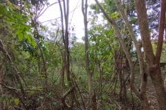 hanbrighton-sewa-min-10-th-tanah-hadap-utara-8-are-jalan-jepun-jimbaran-6