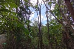 hanbrighton-sewa-min-10-th-tanah-hadap-utara-8-are-jalan-jepun-jimbaran-7
