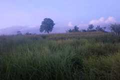 hanbrighton-sewa-jangka-panjang-tanah-25-are-kaba-kaba-kediri-tabanan-2