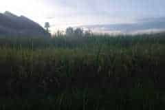 hanbrigton-sewa-jangka-panjang-tanah-25-are-kaba-kaba-kediri-tabanan-1