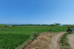 hanbrighton-jual-tanah-7850m2-beachfront-kelating-tabanan-1