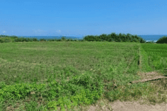 hanbrighton-jual-tanah-7850m2-beachfront-kelating-tabanan-2