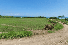 hanbrighton-jual-tanah-7850m2-beachfront-kelating-tabanan-3