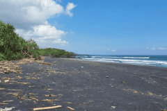 hanbrighton-jual-tanah-7850m2-beachfront-kelating-tabanan-4