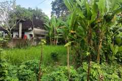 hanbrighton-jual-tanah-2-are-kutuh-kerambitan-tabanan-1