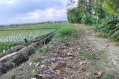 hanbrighton-jual-tanah-26-are-pantai-pasut-kerambitan-tabanan-view-laut-gunung-1