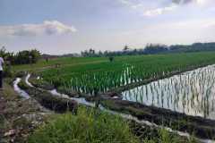 hanbrighton-jual-tanah-26-are-pantai-pasut-kerambitan-tabanan-view-laut-gunung-4