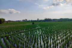 hanbrighton-jual-tanah-26-are-pantai-pasut-kerambitan-tabanan-view-laut-gunung-6