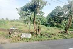 hanbrighton-jual-tanah-kosong-5365m2-kerambitan-tabanan-1