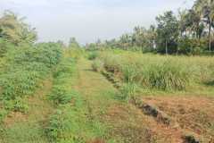 hanbrighton-jual-tanah-kosong-5365m2-kerambitan-tabanan-2