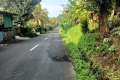 hanbrighton-jual-tanah-kosong-5365m2-kerambitan-tabanan-3